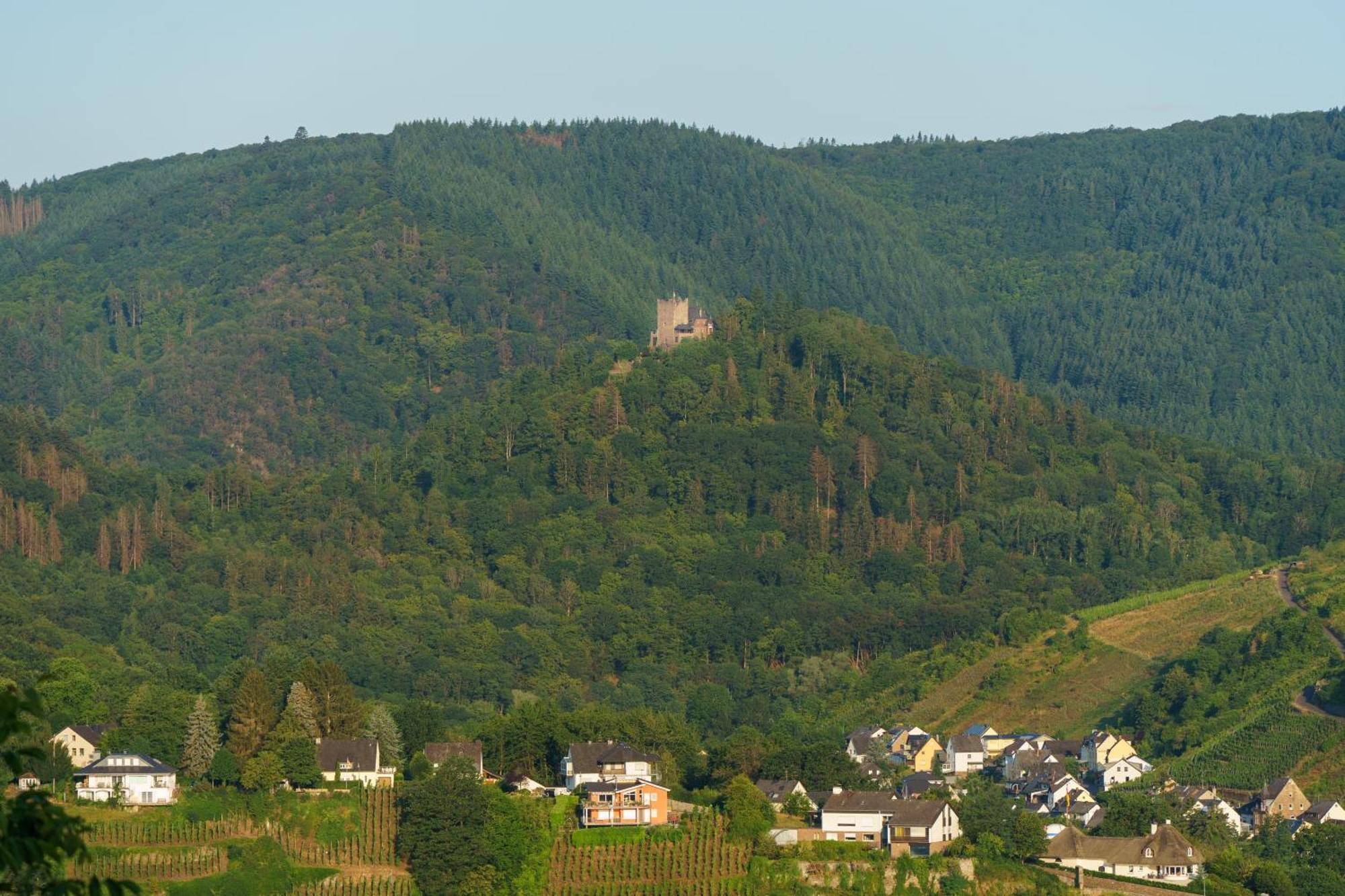 Ferienwohnung Auf Sarret Bullay Exteriér fotografie
