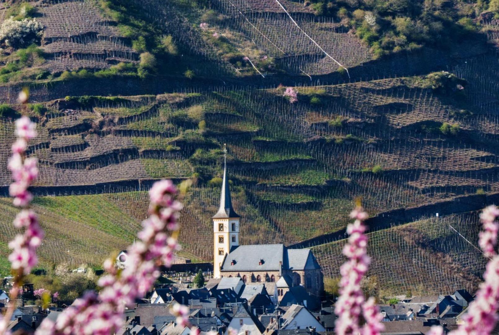 Ferienwohnung Auf Sarret Bullay Exteriér fotografie